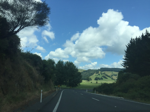 一条典型的新西兰国道